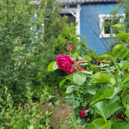 Holiday home Heart's Hahnenklee Harz *