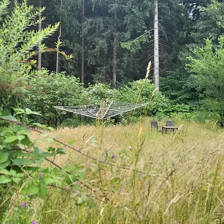 펜션 Hahnenklee Harz 고슬라르