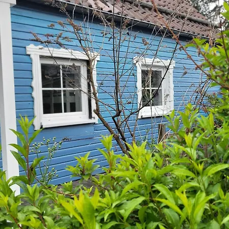 Feriehus Hahnenklee Harz *