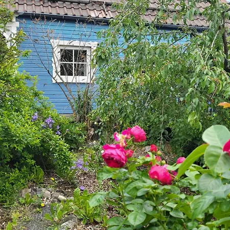 Heart's Hahnenklee Harz