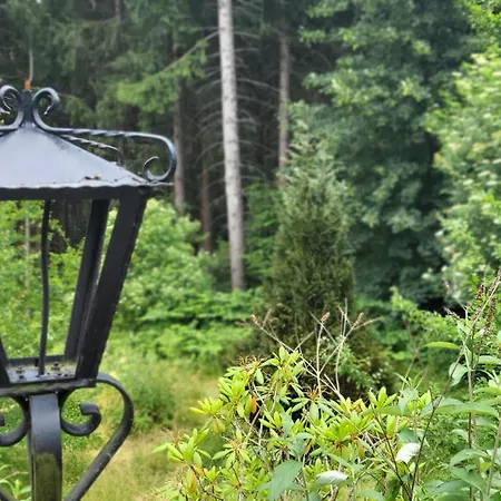 Heart's Hahnenklee Harz Goslar
