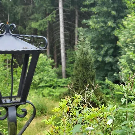 Hahnenklee Harz 고슬라르