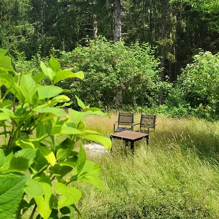 Hahnenklee Harz 펜션 고슬라르