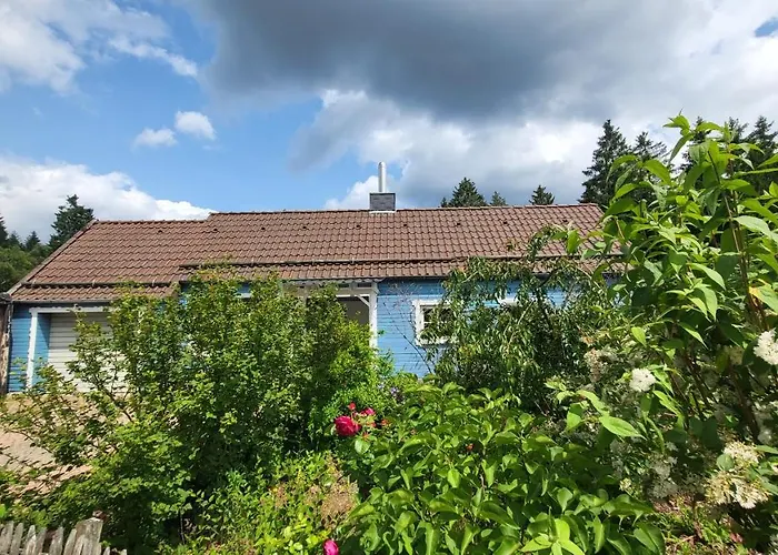 Hahnenklee Harz Feriehus