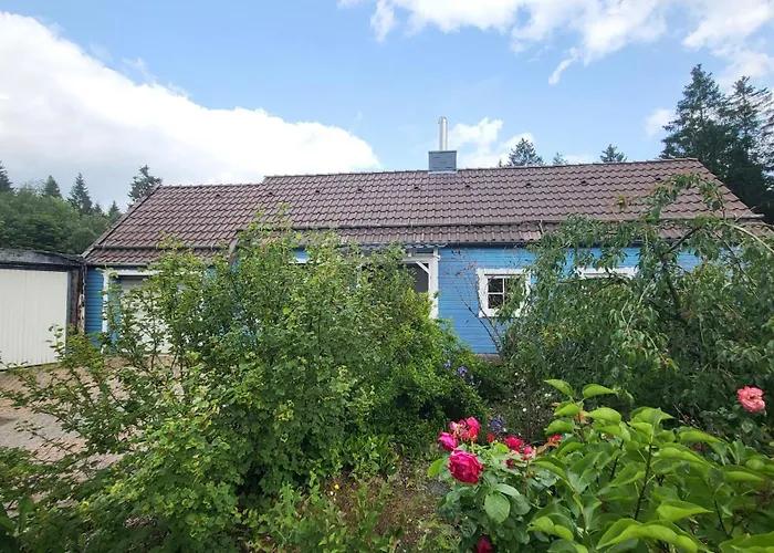 Heart's Hahnenklee Harz Tatil Evi *