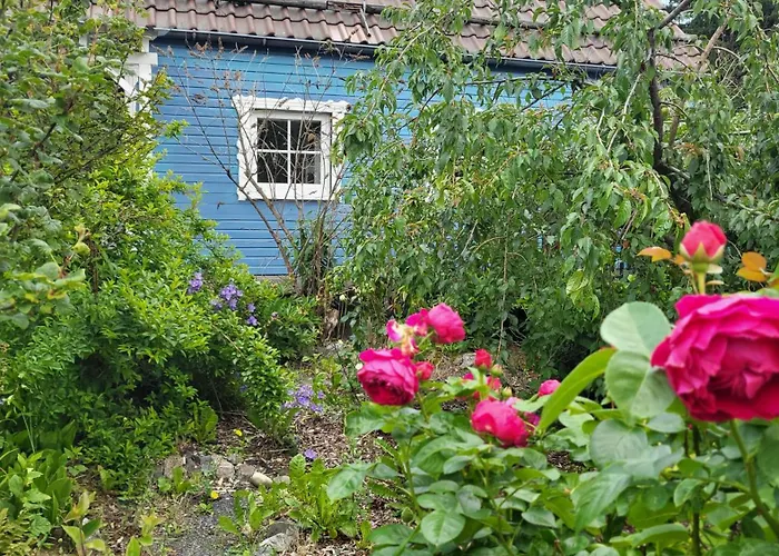 Heart's Hahnenklee Harz