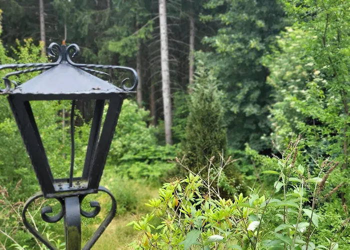 Heart's Hahnenklee Harz Goslar