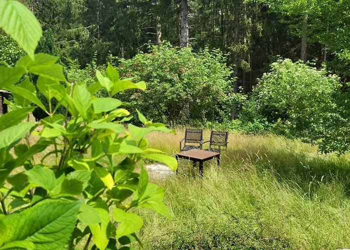 Heart's Hahnenklee Harz Tatil Evi Goslar